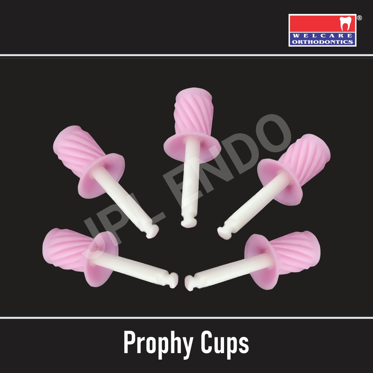 PROPHY CUP RIBBED – GLAZE JPL ENDO